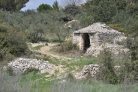 bf_imageTine_de_tres_grande_taille_garrigue_nimoise_020.jpg