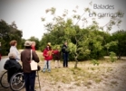 image_annonceete-_matins_en_garrigue.jpg