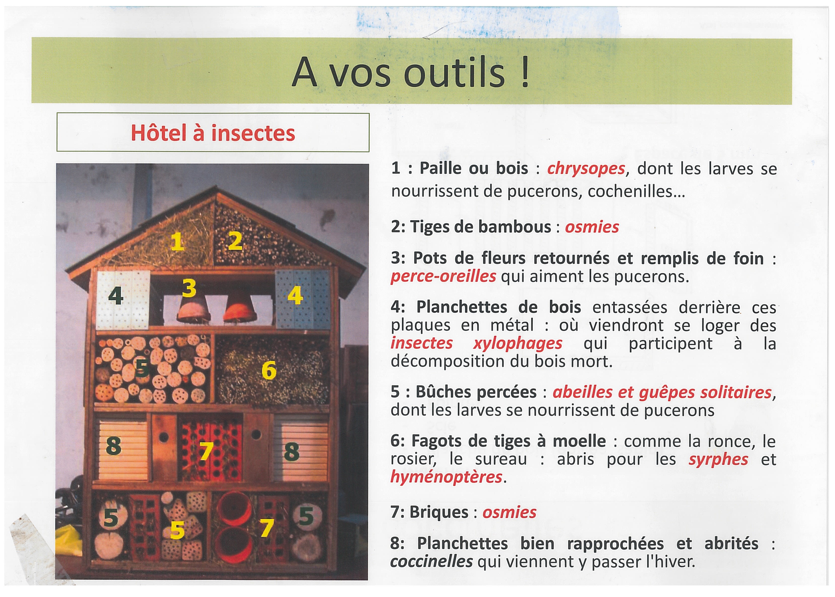 image hotel_a_insecte2.jpg (1.3MB)