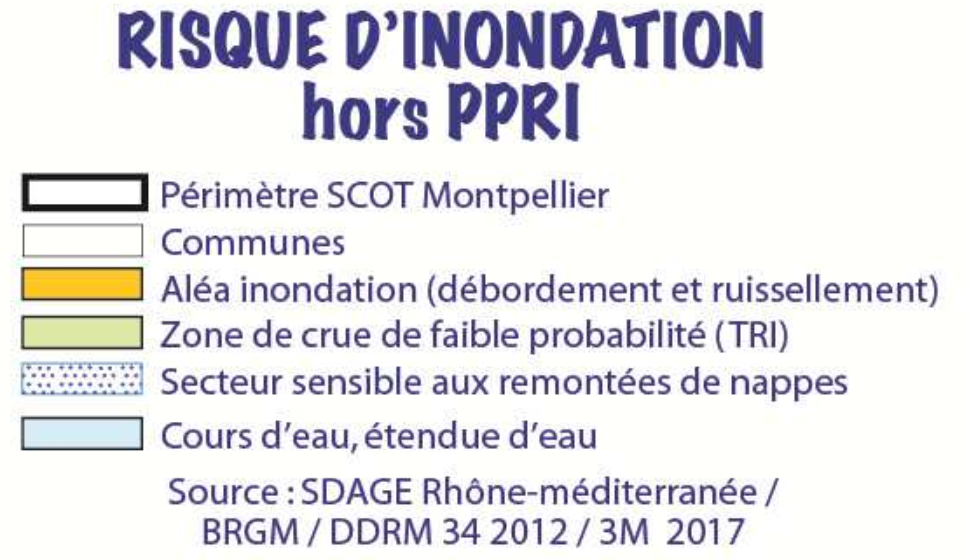 image 2017lgendeRisque_inondation_hors_ppriScot_MtpEnvtp163.png (0.6MB)