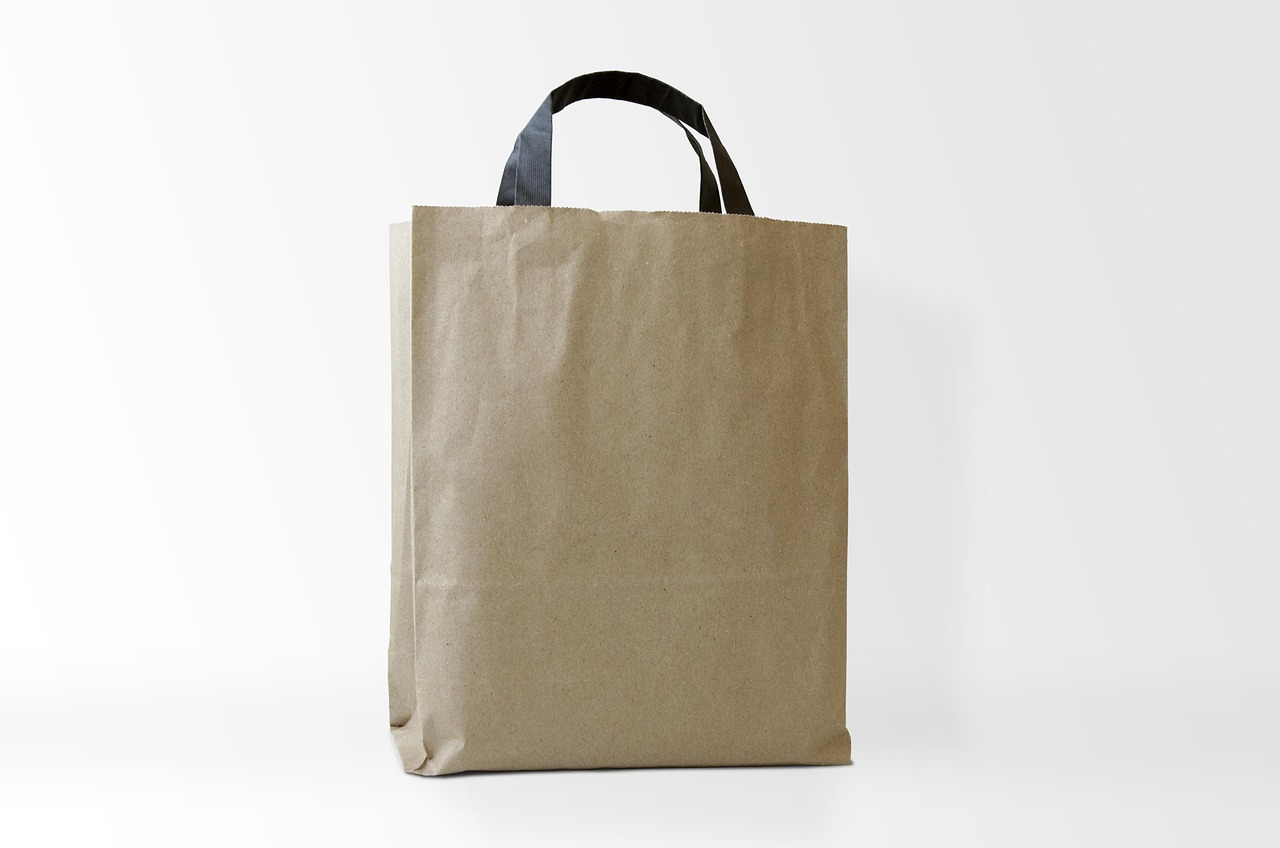image sac.jpg (94.3kB)
