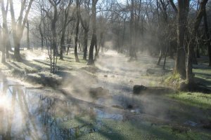 image Audioguide_34042_LSDLE_p092r_Fadi.jpg (0.1MB)
