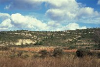 geologie
Lien vers: DossierThA2012