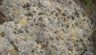 image GeolArt58.jpg (64.0kB)
Lien vers: http://wikigarrigue.info/galerie/main.php?g2_itemId=4782