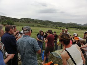 image Montoulieumai20147.jpg (0.3MB)